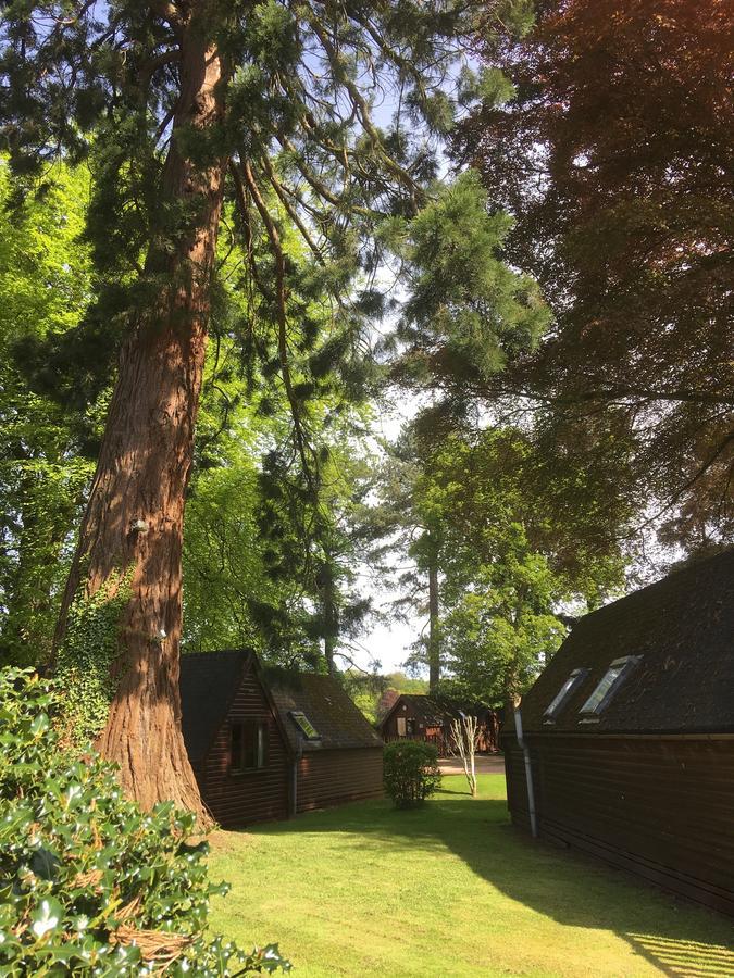 Huntingtower Lodges Perth Exteriér fotografie